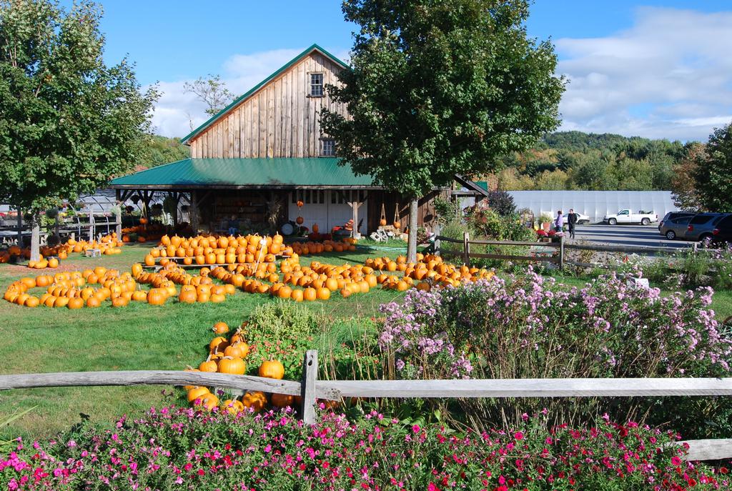 A great place in Gilford,NH to get fresh veggies...BEANS & GREENS is a